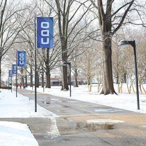 Snow along Kaufman Mall 